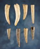 Set of 8 anciently worked Antler Tips found on the Shaddle Farm in Mason Co., West Virginia.