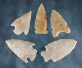 Set of 5 assorted New Mexico points in nice condition. The largest is 1 13/16