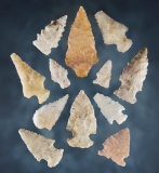 Set of 12 New Mexico Points. The largest is 2 1/8