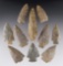 Set of 10 assorted points found in Limestone Co., Alabama. The largest is 3 9/16