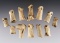 Set of 12 Awl Handles and worked Bone Joints - Shaddle Farm in Mason Co., West Viginia.