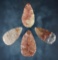 Group of 4 Adena Blades made from Flint Ridge Flint. Found in Shelby Co., Ohio. Ex. Brent Heath.