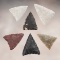 Group of 6 Plains Triangular Arrow Points found in Walworth, South Dakota. Largest is 13/16