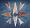 Set of 8 well made Triangle Points in excellent condition. Found in the N. Sahara Desert, Africa.