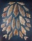 Set of 26 African Neolithic and Mesolithic points found in the Sahara Desert. Largest is 2 1/4