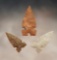 Set of 4 Billings Tri-Notch Points in nice condition. Found in the Colorado area. Largest is 1 1/4