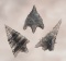 Set of three Obsidian Calapooya Points found near Lake Shasta, California. Ex. Lewis, Anderson.