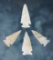 Set of 4 assorted Arrow Points found in the Colorado/Wyoming area. The largest is 1 9/16