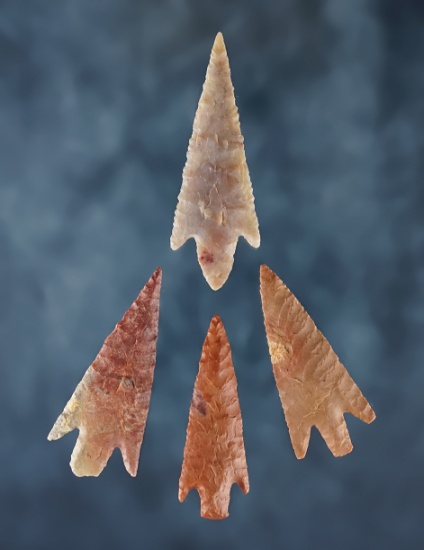 Set of 4 high-quality Neolithic Points found in the northern Sahara Desert region of Africa.