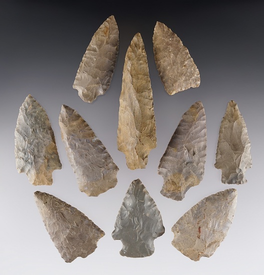 Set of 10 assorted points found in Limestone Co., Alabama. The largest is 3 9/16".