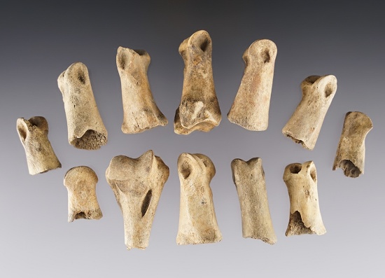 Set of 12 Awl Handles and worked Bone Joints - Shaddle Farm in Mason Co., West Viginia.