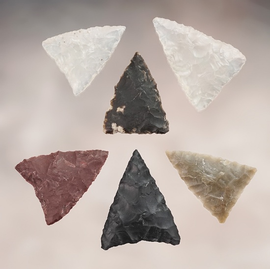 Group of 6 Plains Triangular Arrow Points found in Walworth, South Dakota. Largest is 13/16".