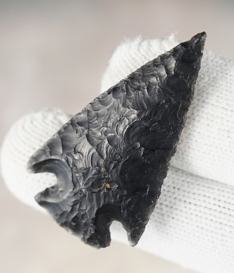 SUPERB! 1 3/4" Pelican Lake expertly flaked from Obsidian. Found in Wyoming. Davis COA, G-10.