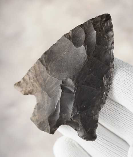 2 3/4" Gary made from dark brown and black Chert. Found in southwest Arkansas. Rogers COA.