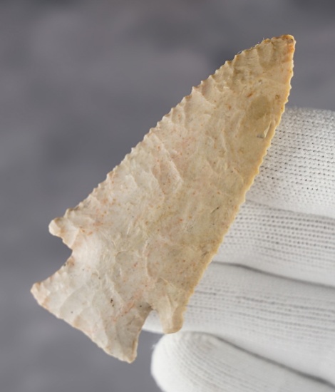 2 3/4" Hardin made from light cream Chert. Found in Ralls Co., Missouri. Rogers COA.