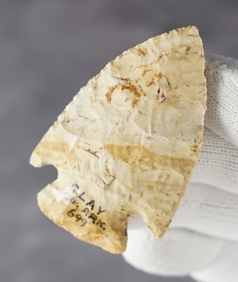 2 1/4" Ocala made from cream & tan patinated Chert. Found in Clay Co., Arkansas. Rogers COA.