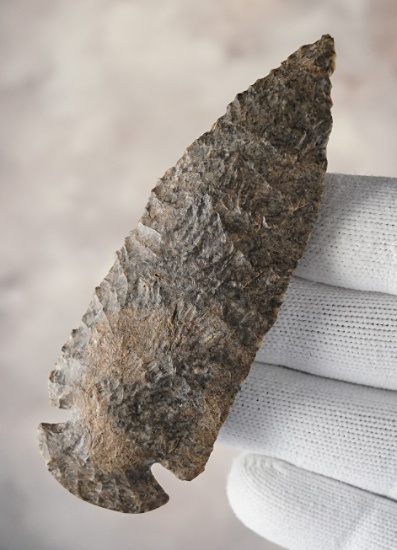 3 7/8" Dovetail with heavy ancient grinding to the base area. Made from Harrodsburg Chert.