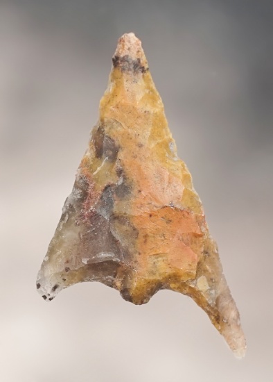 1 3/16" Gunther recovered near Butte Falls, Oregon.