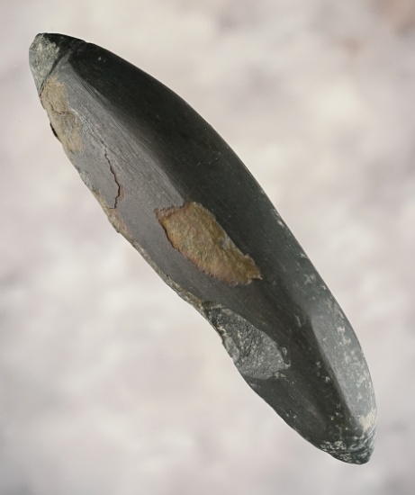 4" Atlatl Weight found near Crump Lake, Lake Co., Oregon. Ex. Steve Lewis.