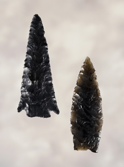 Pair of Obsidian Points, larger is 2". Found by George and Beth Miller near Cedarville, California.