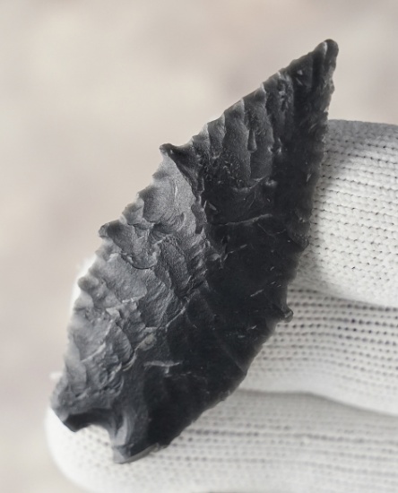 Nice style on this 2 3/16" Humboldt Concave Base found by George and Beth Miller, California.