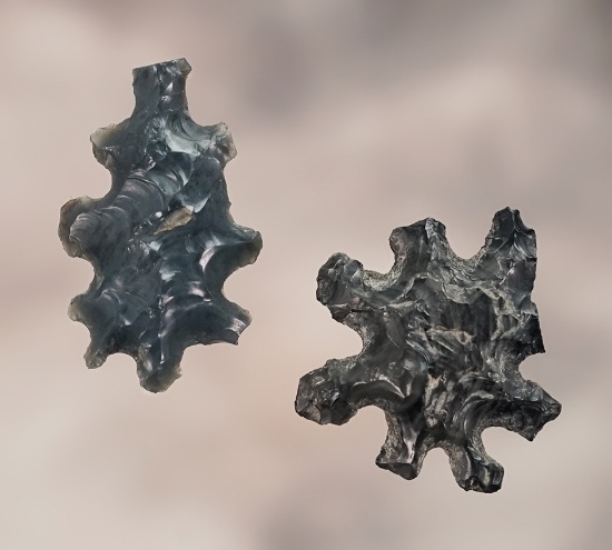 Pair of Obsidian Eccentrics. Larger is 15/16". Found between 1926 - 1986 by the Miller's.
