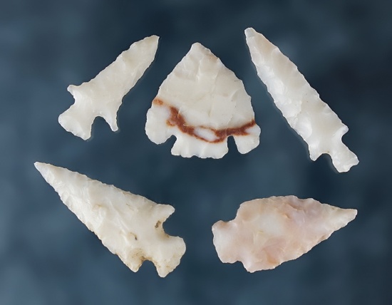 Group of 5 assorted points found by George and Beth Miller, California. Largest is 1 3/16".