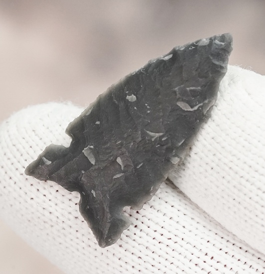 1 1/4" Desert Sierra found between 1926 - 1986 by George and Beth Miller. California/Nevada.