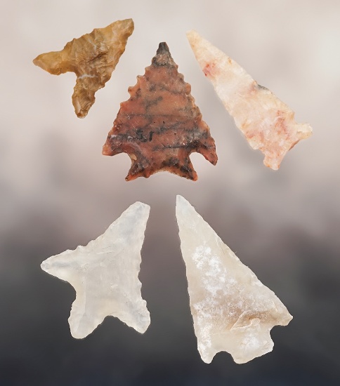 Group of 5 assorted points all recovered in Arizona. Largest is 1 3/16".