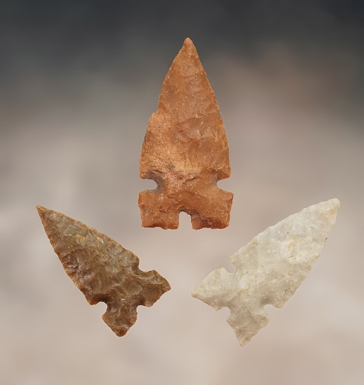 Set of 4 Billings Tri-Notch Points in nice condition. Found in the Colorado area. Largest is 1 1/4".