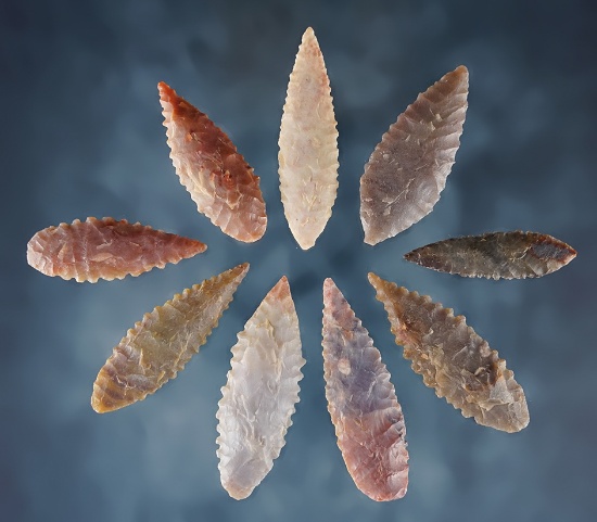 Set of 9  Willow Leaf Neolithic Points. Found in the northern Sahara Desert region of Africa.