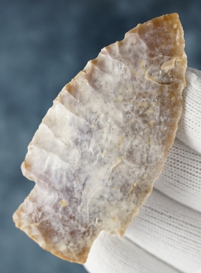 2 11/16" Edwards Plateau Chert Scottsbluff. Texas. Ex. Perino , Hartline, Pfeiffer. Pictured. COA's.