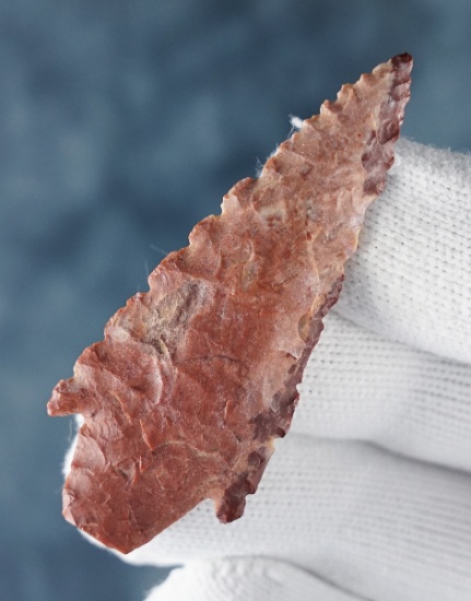 Outstanding quality on this colorful 2 3/8" Neolithic Point with nice serrations. Found in Africa.
