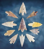 Set of 11 high quality Stemmed Points in excellent condition. Found in Africa. Largest is 1 5/8