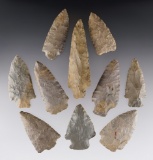 Set of 10 assorted points found in Limestone Co., Alabama. The largest is 3 9/16