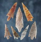 Set of 7 high-quality Neolithic Points - excellent condition. Northern Sahara Desert region, Africa.
