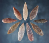 Set of 9  Willow Leaf Neolithic Points. Found in the northern Sahara Desert region of Africa.
