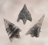 Set of three Obsidian Calapooya Points found near Lake Shasta, California. Ex. Lewis, Anderson.