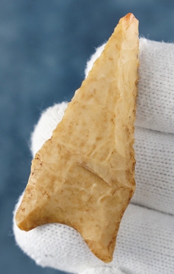 Steeply beveled and well flaked 2 3/16" Dalton. Found in the Missouri / Illinois area.