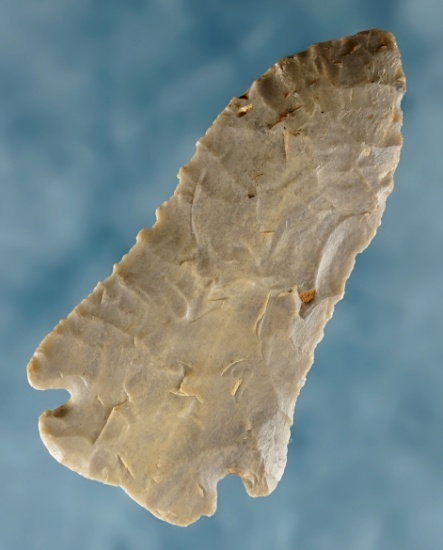 Thin 2 5/8" classically styled Pinetree found in Ohio Co., Kentucky. Ex. Herman Alvey.