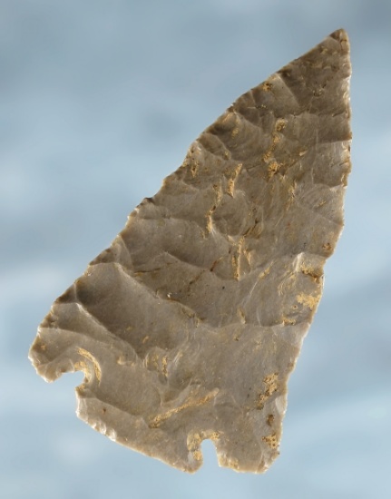 Rare style! 2 1/4" Micronotch point that is very thin and nicely made. Found in Logan Co., KY.