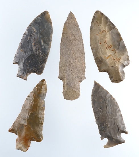 Set of 5 nice Knives found by Paul Mays in Logan Co., Kentucky. The largest is 3 3/4".