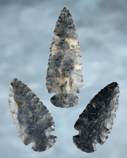 Set of 3 Archaic Dovetail points made from Coshocton Flint. Found in Ohio. The largest is 2 15/16".