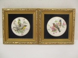 Pair of Framed Staffordshire Hand-made English Ceramic Bird Plaques