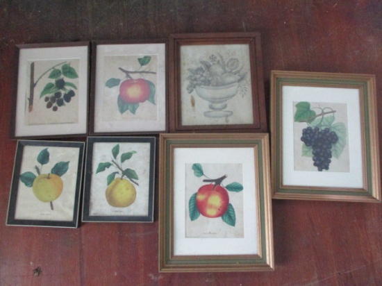Seven Framed Fruit Prints