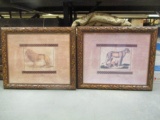 Pair of Framed Lion Prints