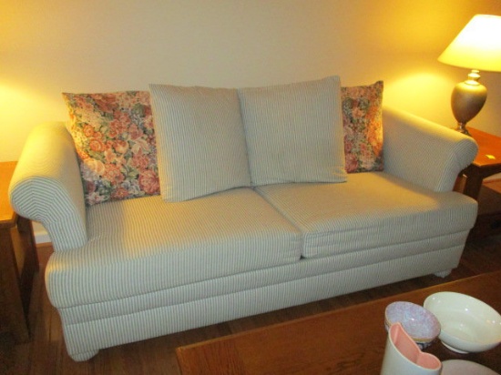 WS Upholstered Sleeper Sofa