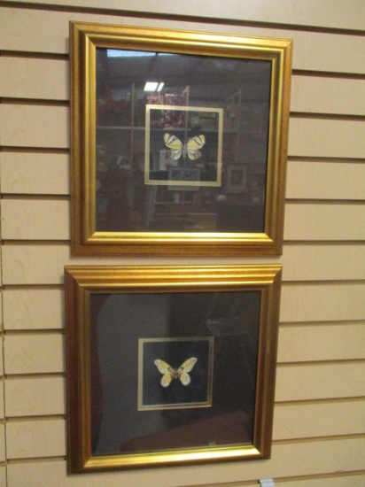 Pair of Framed and Matted Butterfly Art Works by Thomas