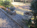 Pair of Concrete planters