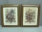 2 Framed Pictures Flower of The Month - June & July approx. 12